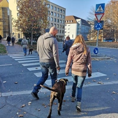 Welpenkurse